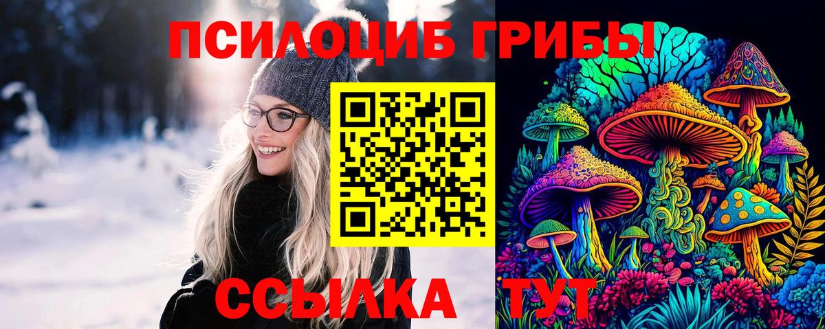 где можно купить наркотик  Псилоцибиновые грибы мухоморы  Вход с VPN  Кириши 