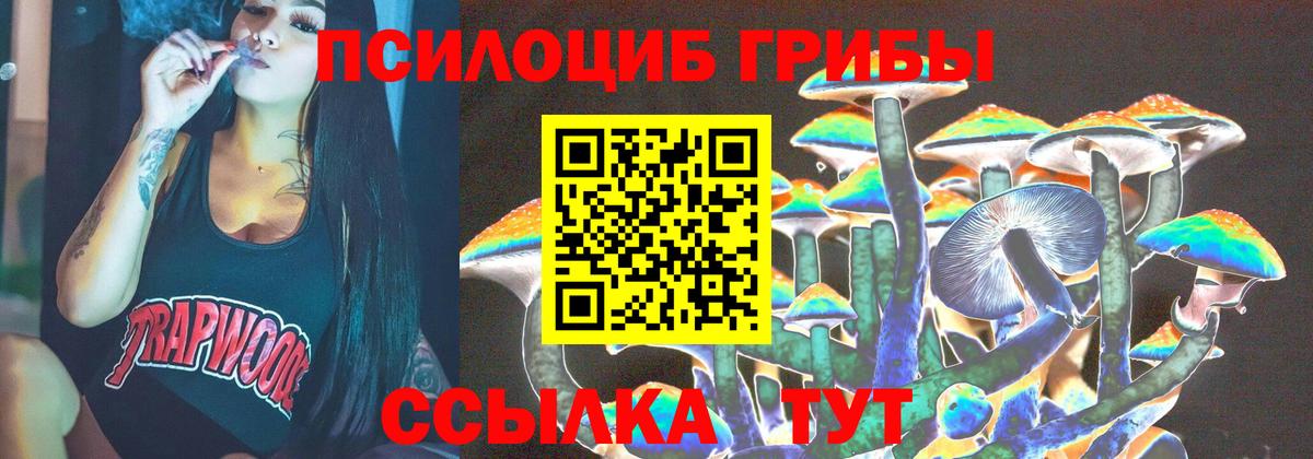 Галлюциногенные грибы мицелий Кириши